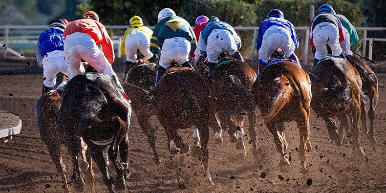 Horse Racing Texas