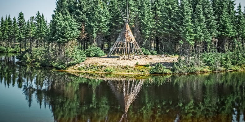 Tent in Forest