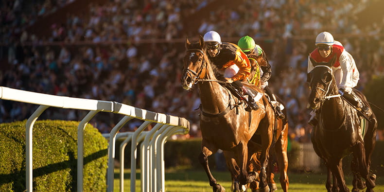 Three Horsemen Racing