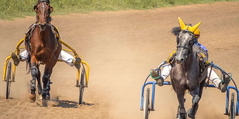 Heated Horse Race Between Two Contestants