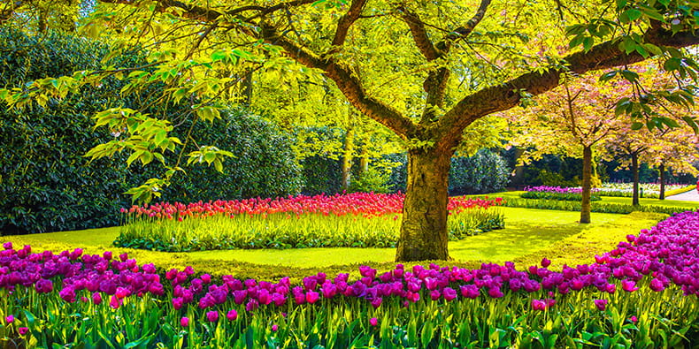 Taman Menakjubkan Kasino Baden Baden 