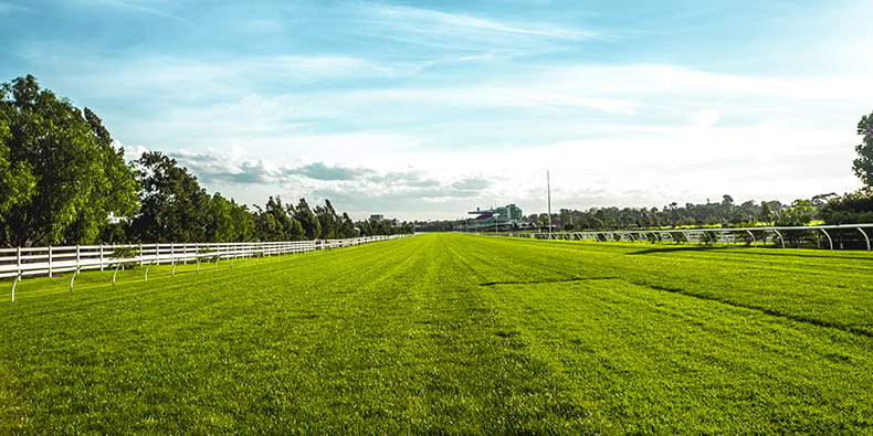 An Overview of the Marsa Racecourse in Malta 